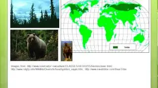 Terrestrial Ecosystems Part 1