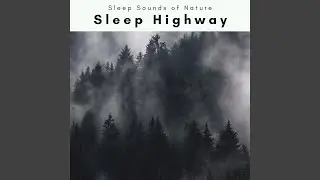 Heavy Relax Powered by Nature Songs Deep Dreams