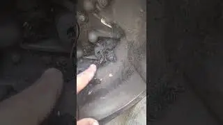 MG Hector clutch damage #viralvideo #mechanic