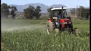 Klein Karoo Seed Production