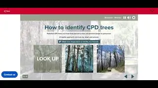CFA TREE HAZARD 2022