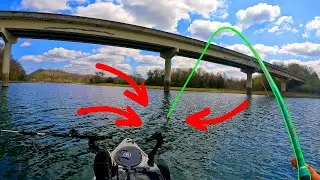 A wild bite under the bridge (Boone Lake)