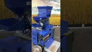 Awn-removed rice seeds increase seed water absorption speed and germination rate#ricemill #machinery