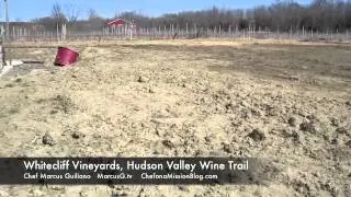 Whitecliff Winery | Hudson Valley Wine | New York Wine