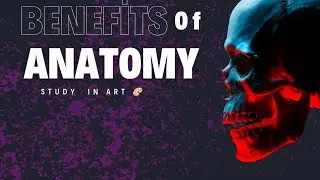 Want to Improve Your Art ? Study Anatomy 💀