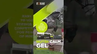Trust Nutri-Calm for calm, focused performance