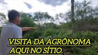 Visita da agrônoma aqui no sítio.