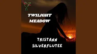 Twilight Meadow