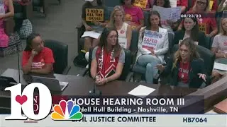Tennessee legislature wraps up third day of special session with emotional committee hearings