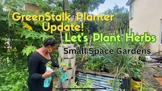 #Greenstalk Update! Vertical garden: Maximize small space yields and Let's Plant Mint #gardening