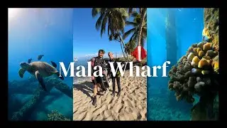 SCUBA DIVING || Mala Wharf