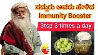 Immunity Booster Recipe || Amla Pepper Honey Mix || Resistance Power || @KannadaSanjeevani
