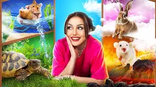 Four Elements Pets! Fire, Water, Earth and Air Pets