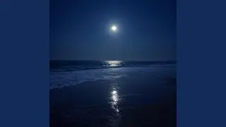Moonlit Night - Delta Pulse 3.807 Hz (Sleep Depth Induction)