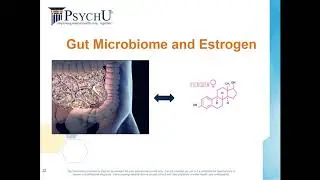The Interplay between the Gut Microbiome, Inflammation, Reproductive Hormones, and Mood Disorders