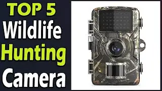 TOP 5 Best Wildlife Hunting Camera On Aliexpress on Amazon Review