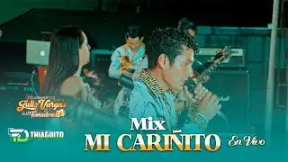 Mix  Cari&ntilde;ito - Julio Vargas y Los Tomadores en Concierto (Arenal 2025)