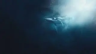 Le mythe cach&eacute; derri&egrave;re Moby Dick : Analyse d&rsquo;un chef-d&rsquo;&oelig;uvre litt&eacute;raire