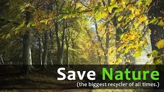 Role of Nature in our Life | How to save nature | Recyclables |Environmental Science