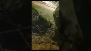 חדשות 08 | נפילה באשדוד