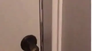 Jajajaja