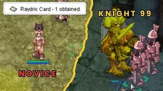 Leveling Novice To Knight Lv 99