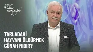 Tarlaya zarar veren hayvanı öldürmek günah mı? - Nihat Hatipoğlu ile Kur'an ve Sünnet