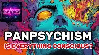 Panpsychism: Is Consciousness the Fabric of the Universe?