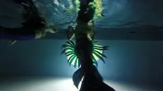 Eden Sirene's Lion Fish Tail Evolution: Finfolk Productions