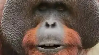 Hello k xa khabar