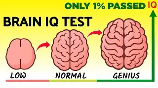❌99% लोग fail हो गए इस brain Puzzle में | Boost your brain power 🧠 in 7 days | Brain Exercise
