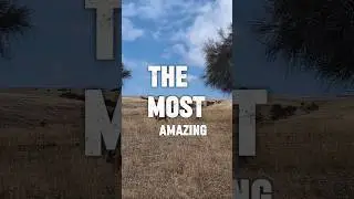 The Most Amazing Things in Life 🥹❤️💪 | Motivation Speaker | Relationship VS Love ❤️ | LIFE |Nature🌸🦘