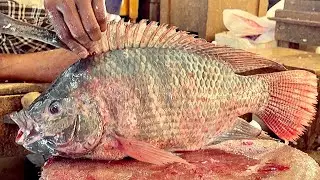 Nice Cutting Style | Amazing Big Tilapia Fish Cutting By Expert Fish Cutter