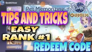 ROO PET MEMORIZING TIPS AND TRICKS EASY RANK 1 GET HIGH POINTS [ REDEEM CODE] Ragnarok Origin Global