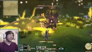 Streamer's Chaotic Day & Epic FFXIV Collab!