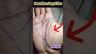 Guardian Angel line Palmistry ✅ #palmist #palmistry #palmistery #facts #astrology
