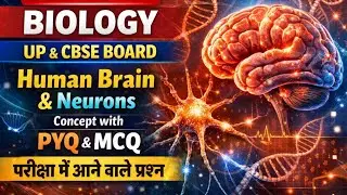 CLASS 10th Biology MCQ Control and Coordination