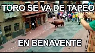 Ni los toros se resisten a tapear por Benavente