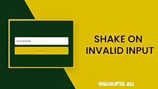 Shake Animation on invalid inputs using html css