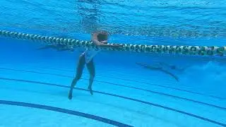 Jonny DC Dive50 6