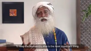 Save Soil Our Very Body  Conscious Planet