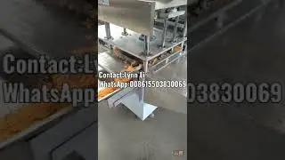 Soup seasoning cube machine,dog food making machine,pet food equipments