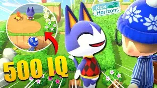 SÁCAME DE AQUÍ FRAN 😭 | Laberinto PRIMERO de MAYO (2021) de Animal Crossing New Horizons 🌴