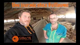 Une journée chez @guillaumeeleveurdebrebis, on visite son élevage