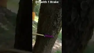 Downhill with 1 Brake