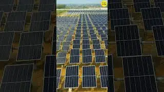 Bifacial Solar Panels With Trackers | Dual-Axis Solar Tracker VS Ground Mount