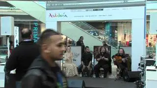 Fitur 2012 se viste de Andaluc&iacute;a