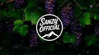SANZY - &Eacute;RIK A SZŐLŐ 