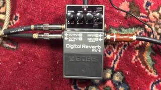 BOSS RV-5 Digital Reverb Guitar Pedal