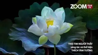Ca khúc  TRÁI TIM NGƯỜI THẦY   Một sáng tác mới nhất của Thầy THÍCH TÂM TƯỜNG